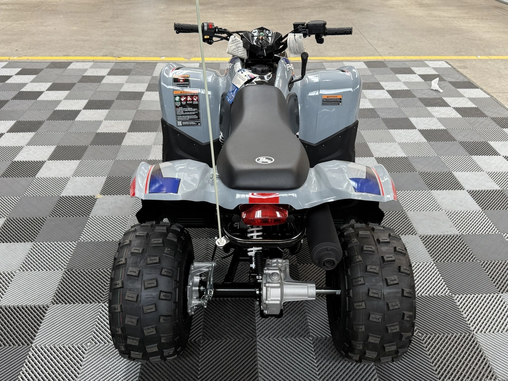 2026 Polaris Phoenix 200 alt