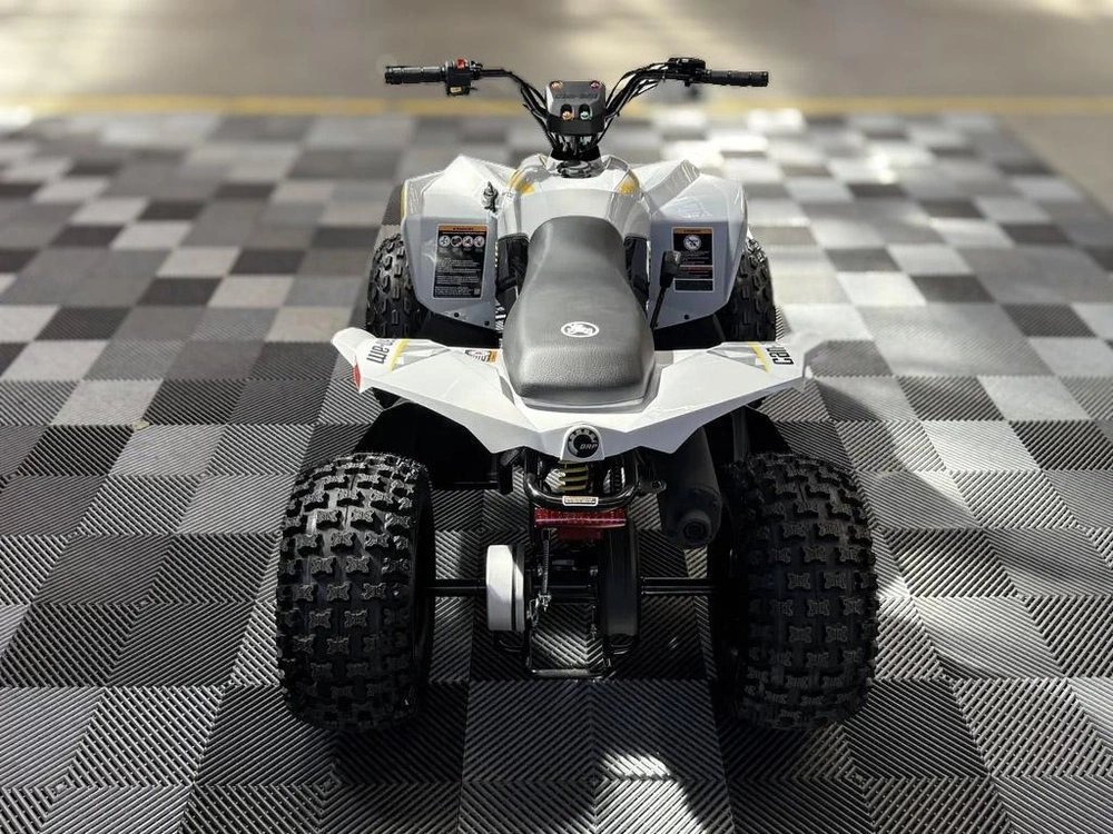 2026 Can-am Renegade 110 Efi alt