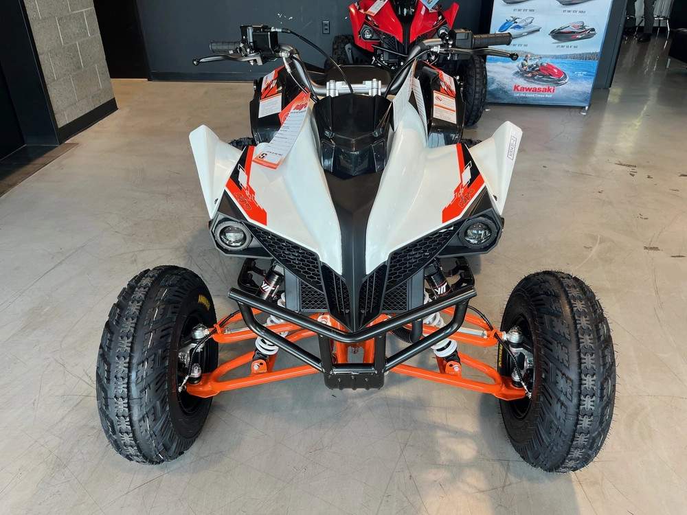 2027 Kayo Storm 300 Efi alt