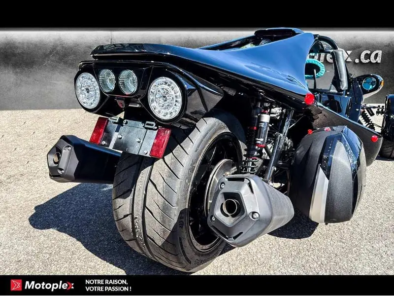 Campagna T-Rex RR 2026