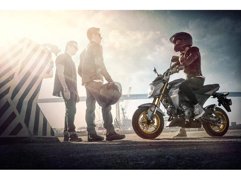 Kawasaki Z125 Pro 2024 alt