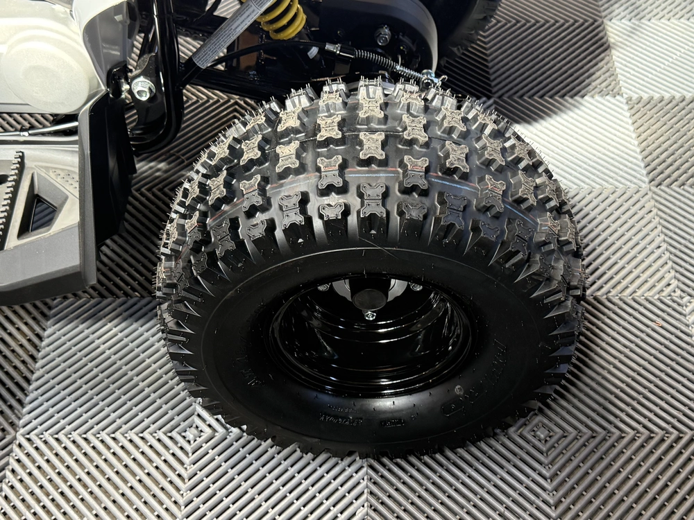 2026 Can-am Renegade 110 Efi alt