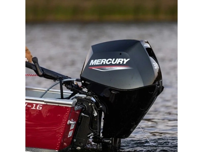None Mercury Mercury - Fourstroke 25hp alt