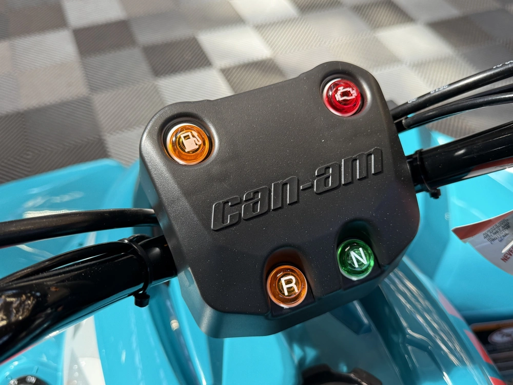 2026 Can-am Renegade 110 Efi alt