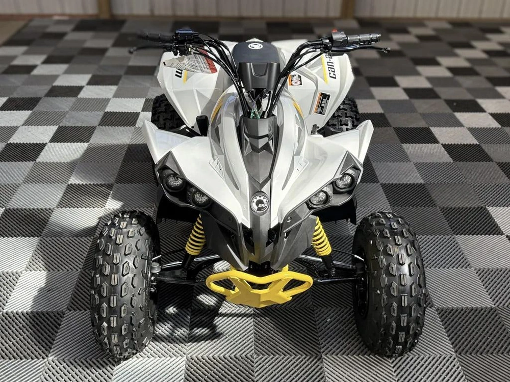 2026 Can-am Renegade 110 Efi alt