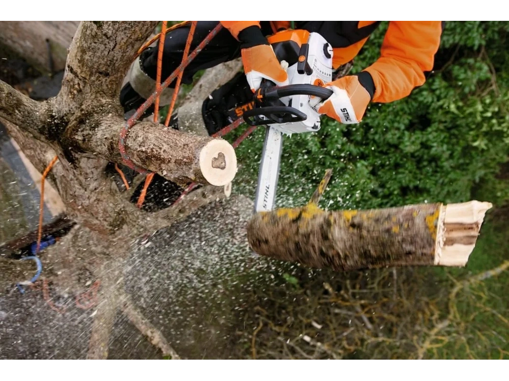 2026 Stihl Ms 201t C-m Chain Saw 12" alt