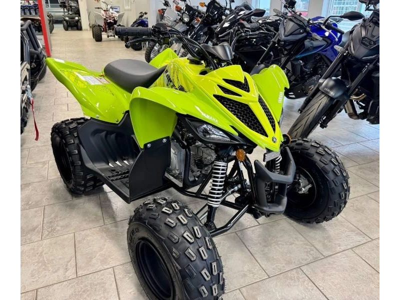 2026 Yamaha Raptor 110 alt