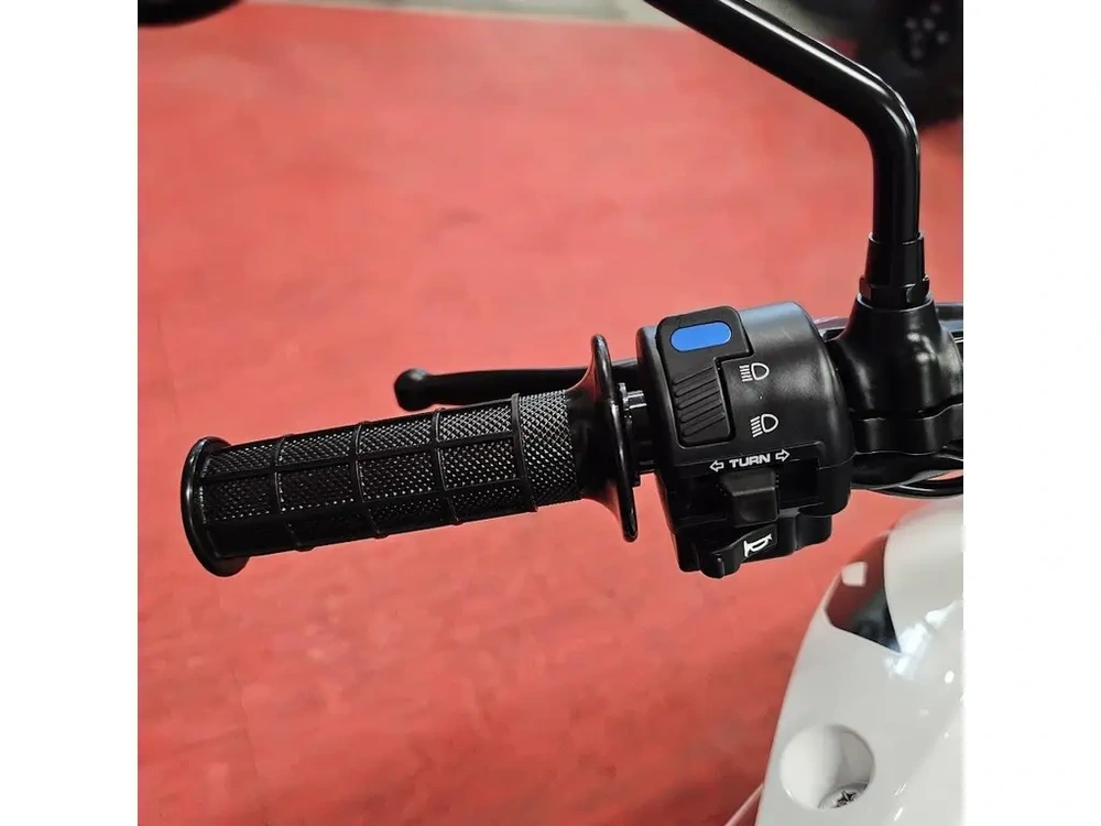 2026 Honda Xr150l alt