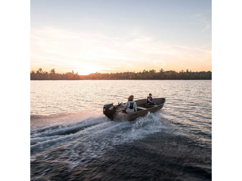 None Mercury Mercury - Fourstroke 25hp alt
