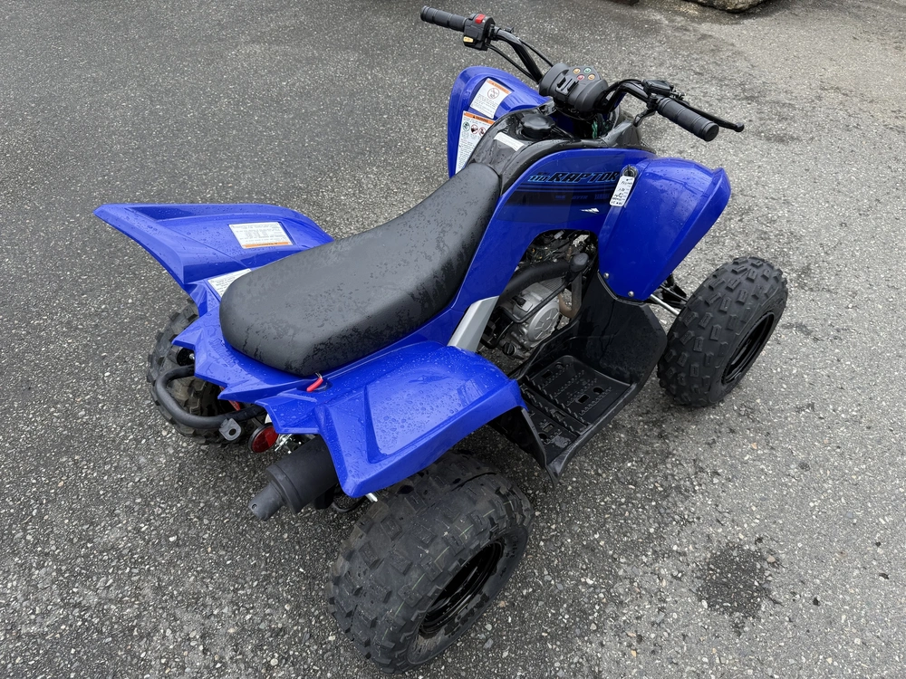 2024 Yamaha Raptor 110 alt