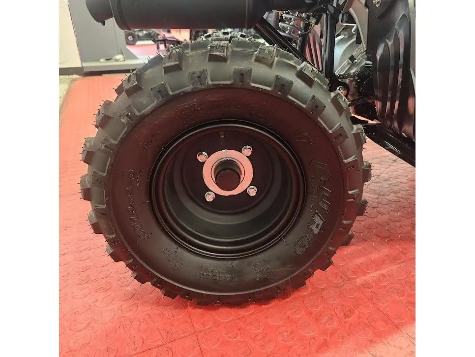 2026 Yamaha Raptor 110 alt
