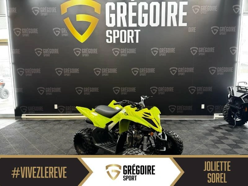 Yamaha Raptor 110 2026 alt