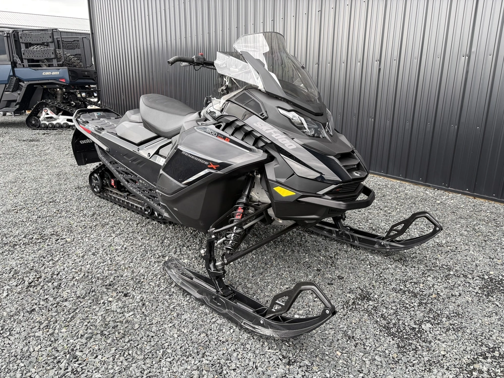 2025 Ski-doo Renegade X 900 Ace Turbo R Ripsaw 1.25" E.s. alt