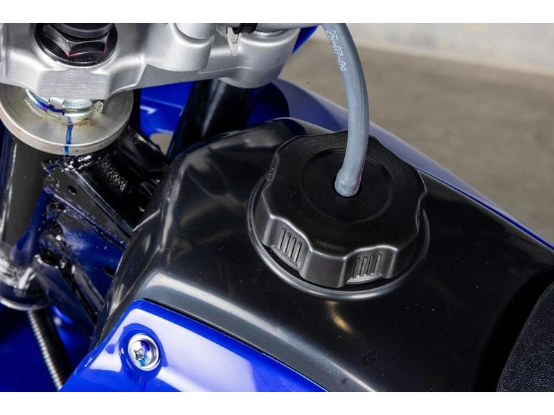 2026 Yamaha Tt-r 230 alt