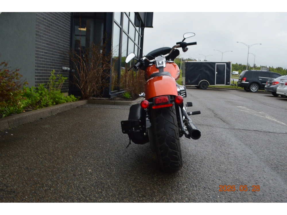 Harley-davidson Flsb 2019 alt