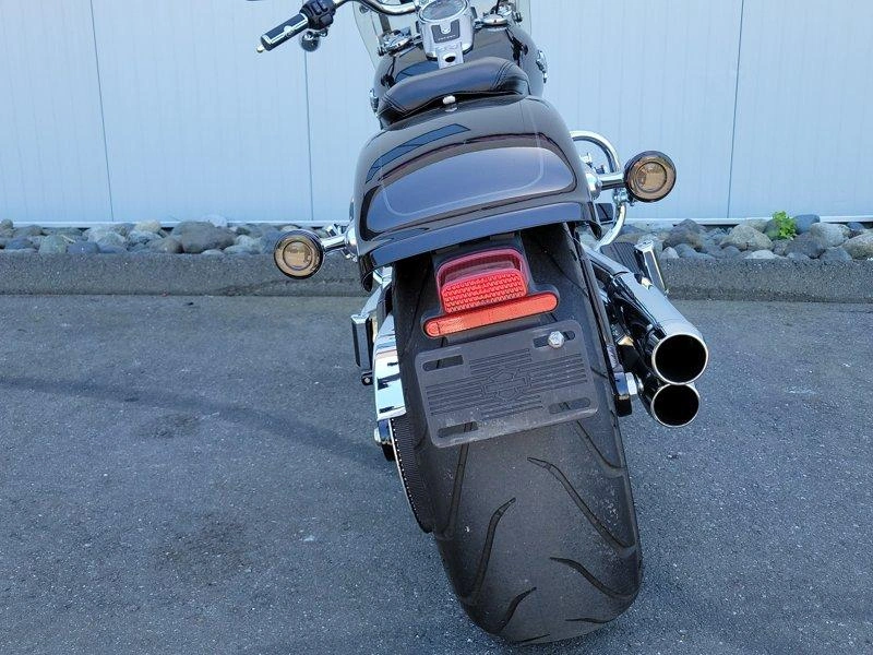 2019 Harley-davidson Flfbs - Fat Boy™ 114 alt