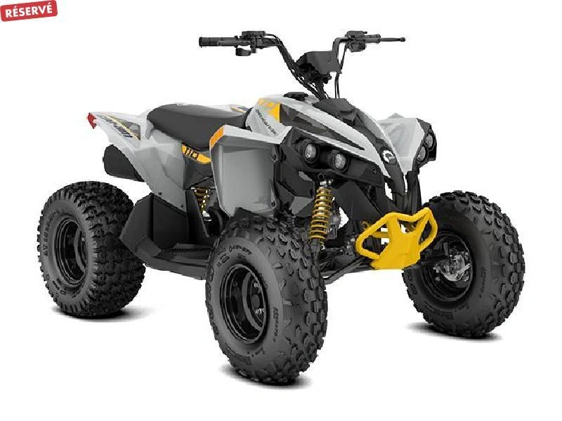 2026 Can-am Renegade 110 Efi alt