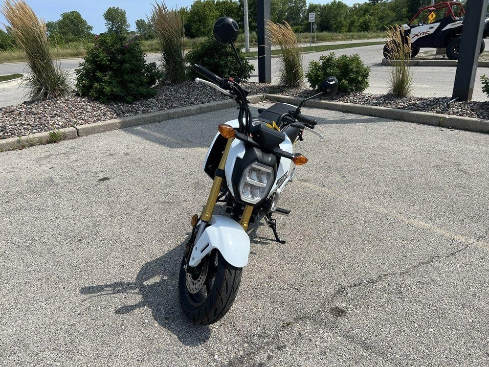 2026 Honda Grom alt