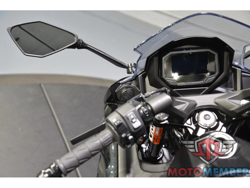 2025 Kawasaki Ninja® 650 alt