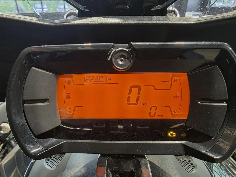 Can-Am RYKER 900 ACE 2019