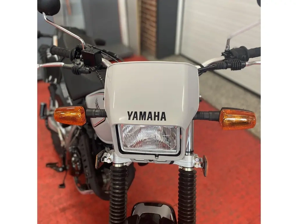 2026 Yamaha Tw200 alt