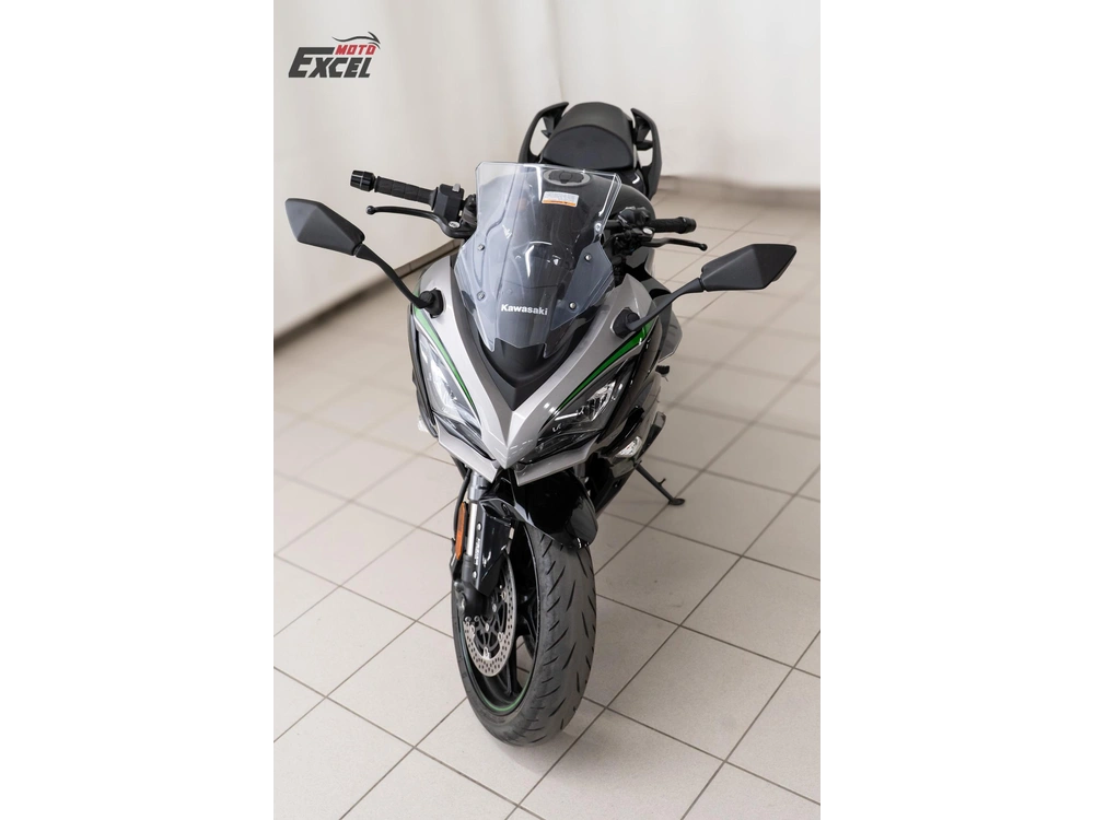 Kawasaki Ninja 1000 2020 alt