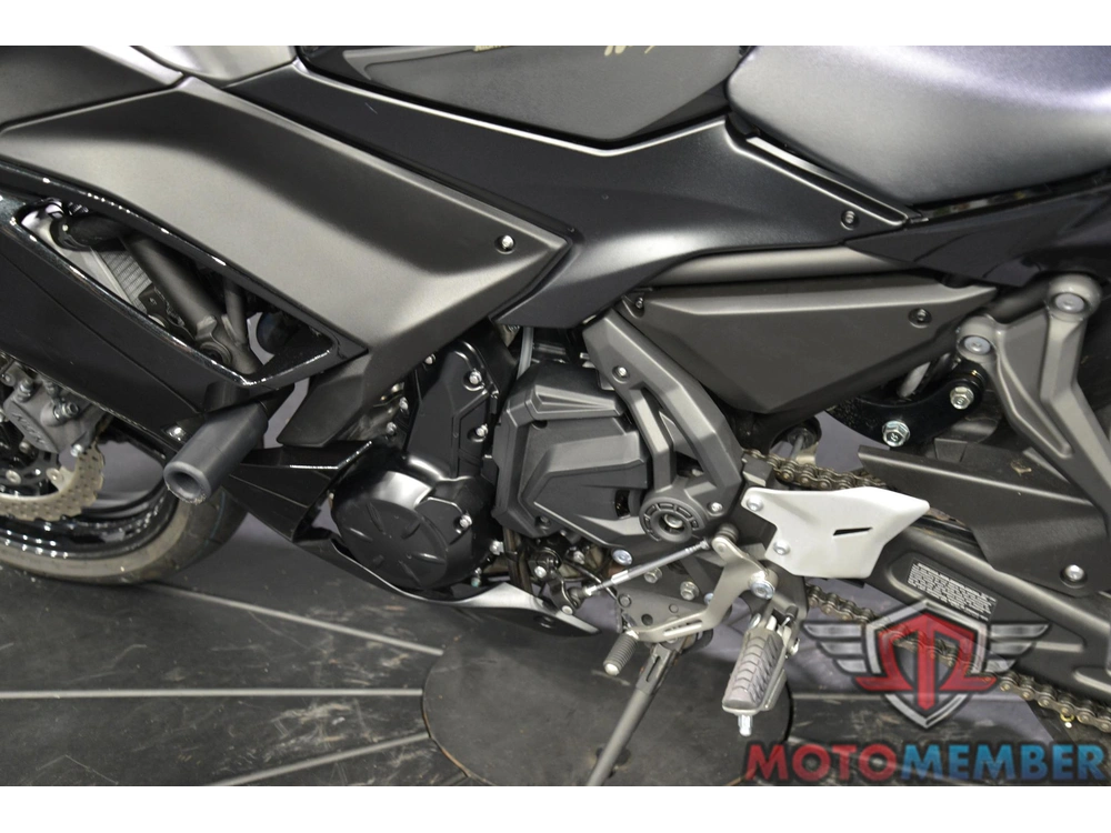 2025 Kawasaki Ninja® 650 alt