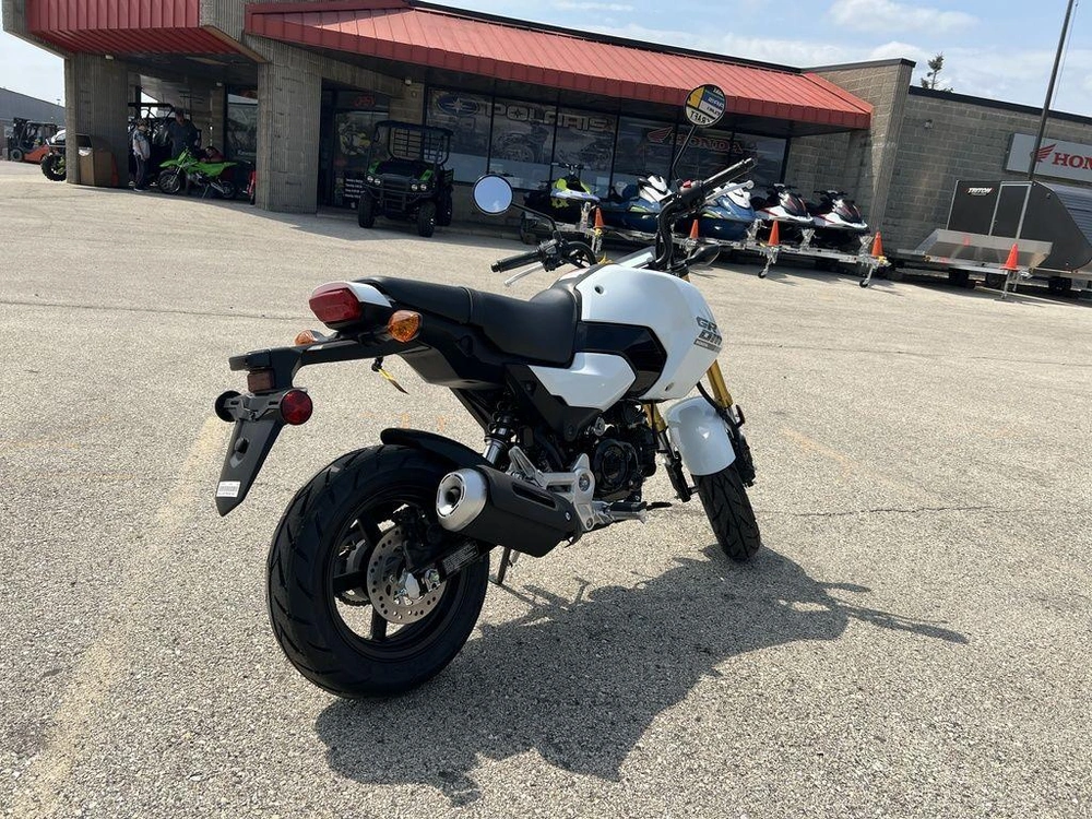 2026 Honda Grom alt