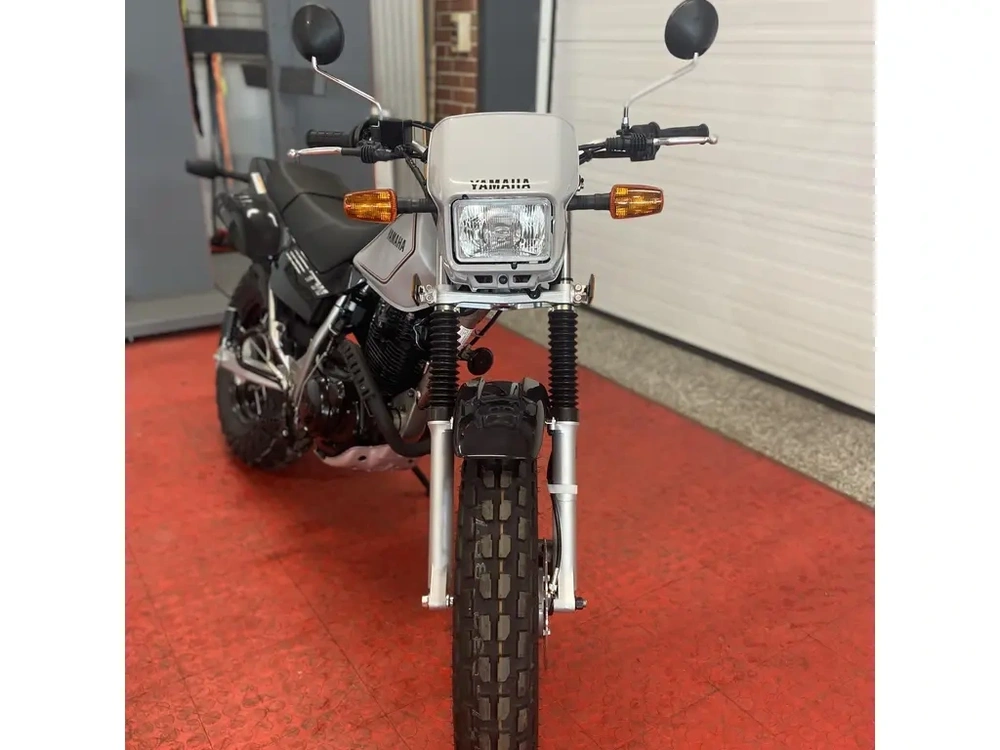 2026 Yamaha Tw200 alt