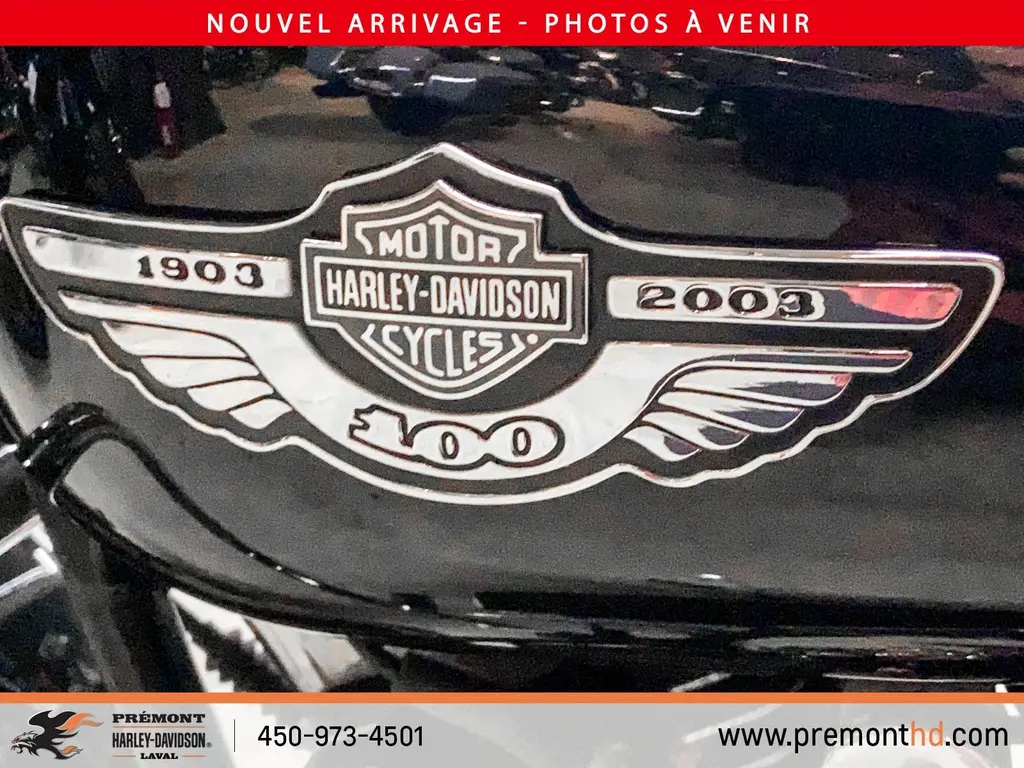2003 Harley-Davidson ELECTRA GLIDE CLASSICFLHTCU