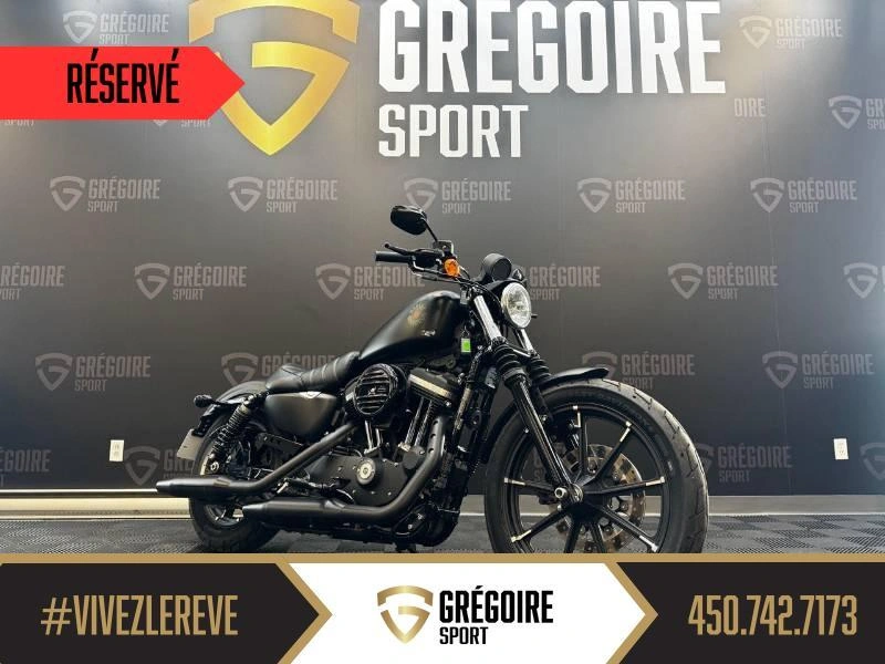 Harley-davidson Xl883 2019 alt