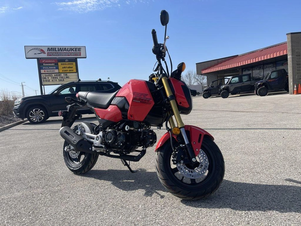 2026 Honda Grom alt
