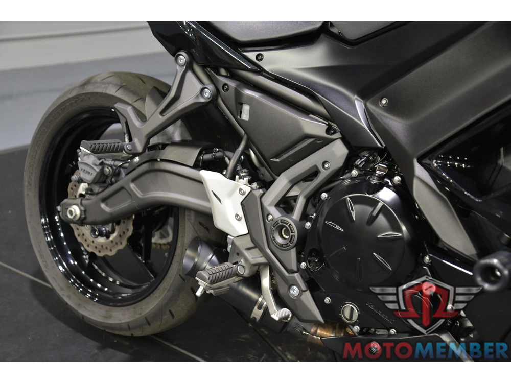2025 Kawasaki Ninja® 650 alt