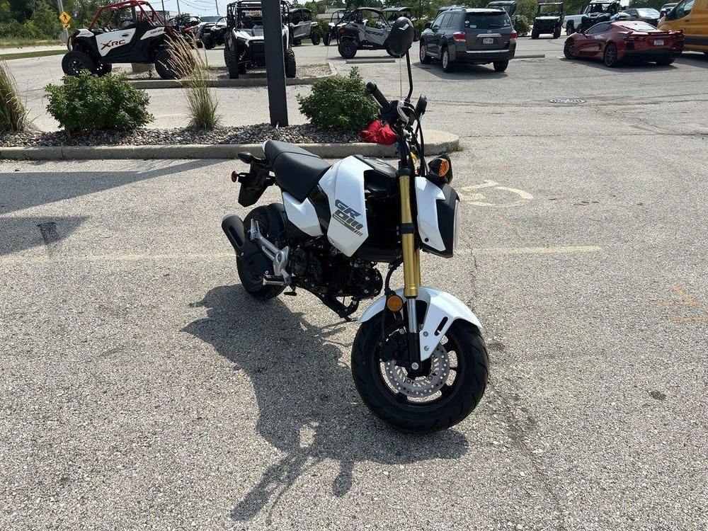 2026 Honda Grom alt