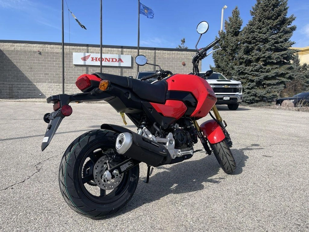 2026 Honda Grom alt