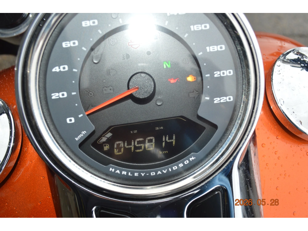 Harley-davidson Flsb 2019 alt