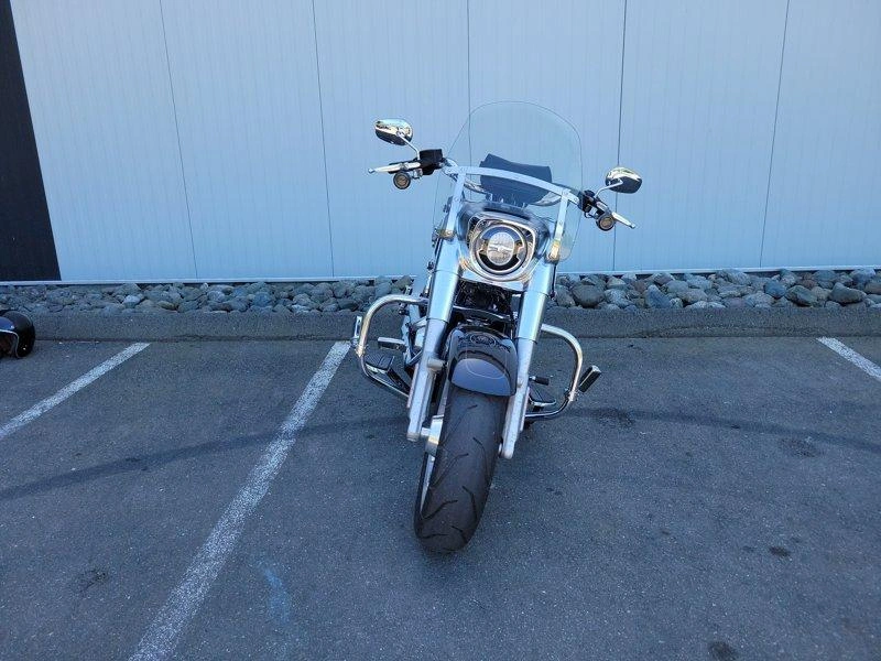 2019 Harley-davidson Flfbs - Fat Boy™ 114 alt