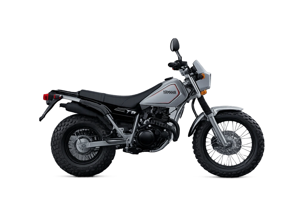 2024 Yamaha Tw200 alt