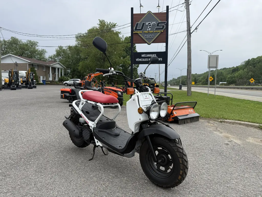 2015 Honda Ruckus