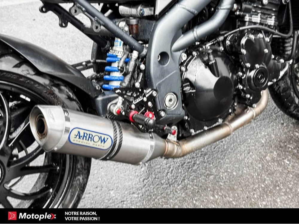 Triumph Speed Triple 2008 alt