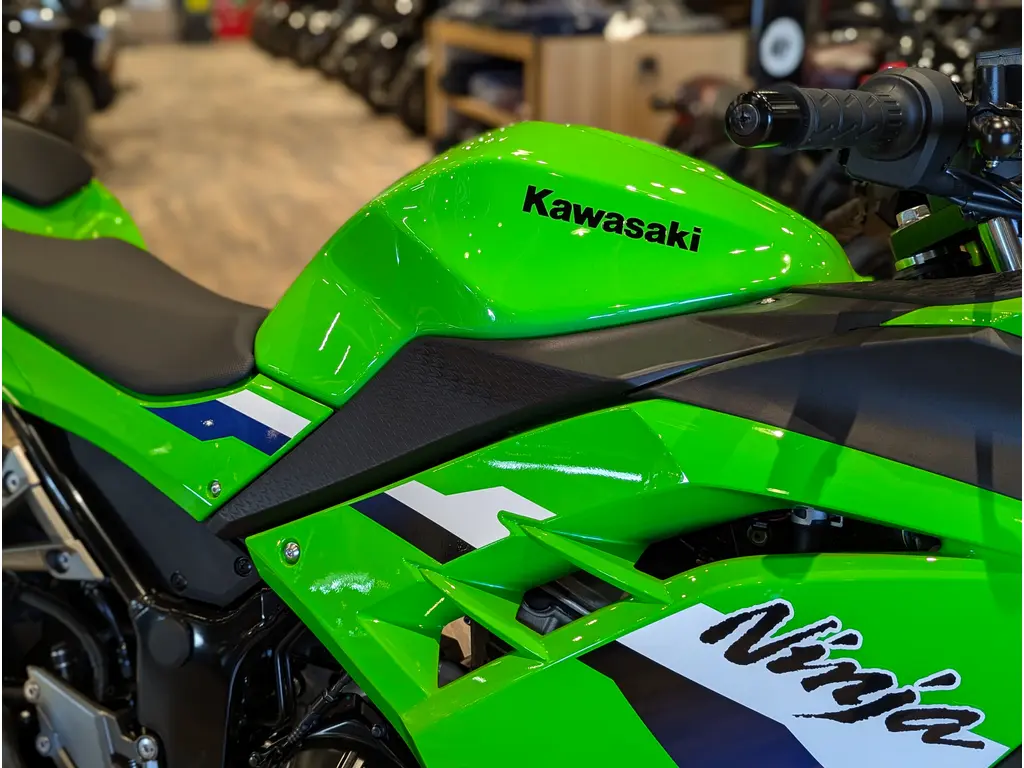 New 2026 Kawasaki Ninja 300 ABS // Lime Green in Headingley