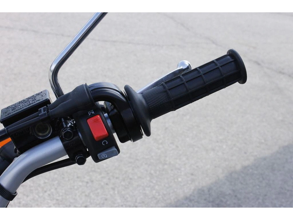 2026 Yamaha Tw200 alt