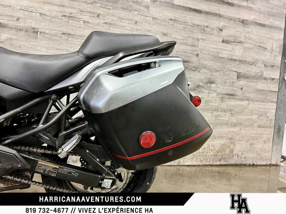 Kawasaki Versys 650 2021 alt