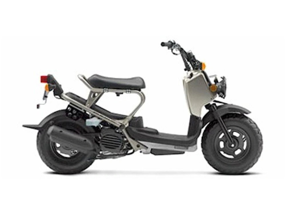 2008 Honda Ruckus alt