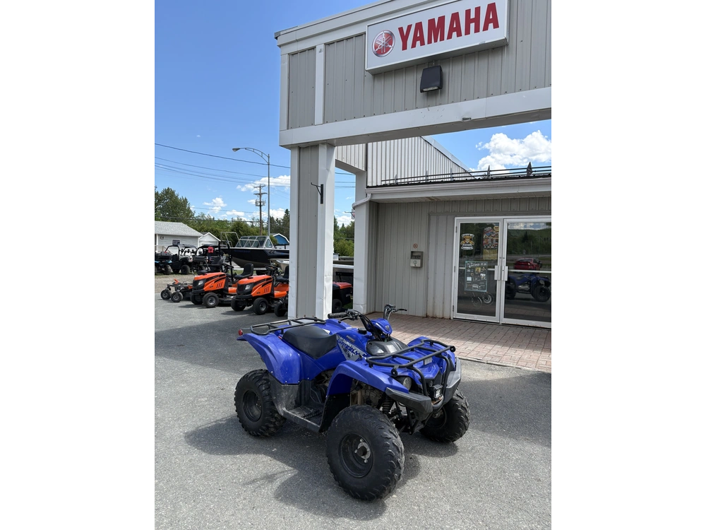 Yamaha Grizzly 110 2025 alt