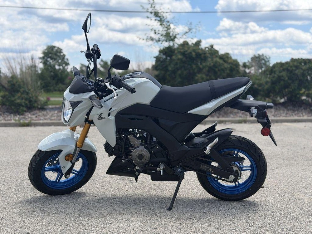 2026 Kawasaki Z125 Pro alt