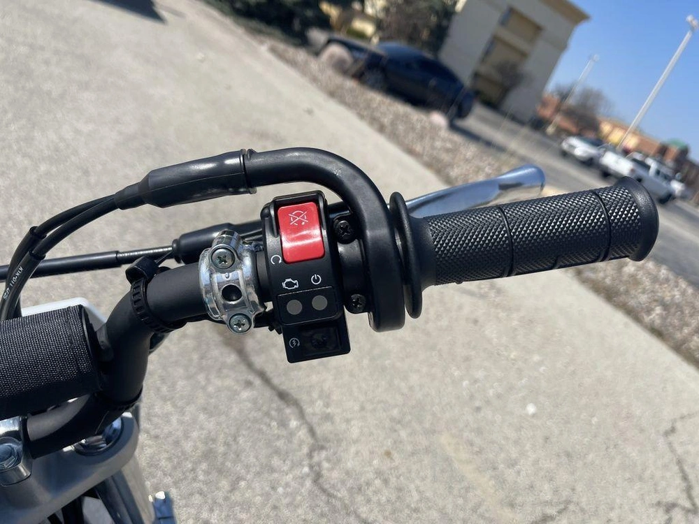 2026 Honda Crf110f alt