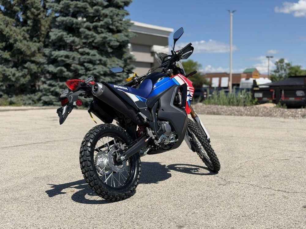 2026 Honda Crf300l Rally alt