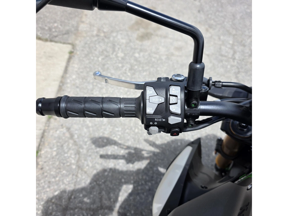 2026 Kawasaki Z900 Se alt