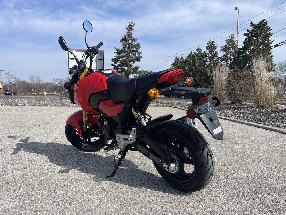 2026 Honda Grom alt